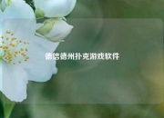 德信德州扑克游戏软件
