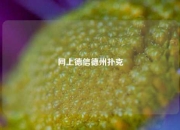 网上德信德州扑克