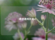 德信德州扑克42