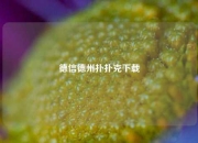 德信德州扑扑克下载