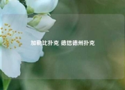 加勒比扑克 德信德州扑克
