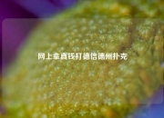网上拿真钱打德信德州扑克