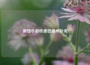 微信小游戏德信德州扑克