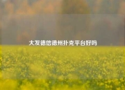大发德信德州扑克平台好吗