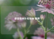 德信德州扑克规则 算牌