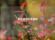 德信德州扑克紧凶
