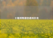 十堰邦辉德信德州扑克