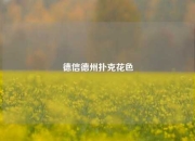 德信德州扑克花色