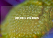 德信德州扑克是美国吗