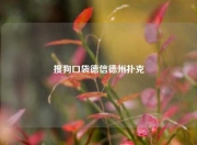 搜狗口袋德信德州扑克