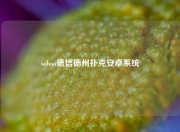 sohoo德信德州扑克安卓系统