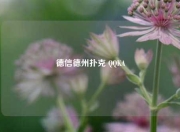 德信德州扑克 QQKA