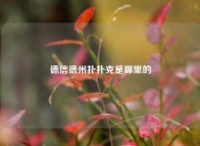 德信德州扑扑克是哪里的