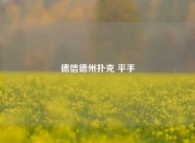 德信德州扑克 平手