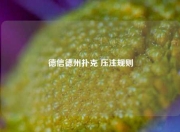 德信德州扑克 压注规则