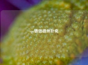 spr德信德州扑克