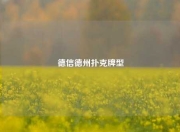 德信德州扑克牌型