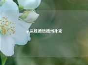 qq决胜德信德州扑克