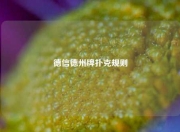 德信德州牌扑克规则
