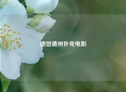 德信德州扑克电影
