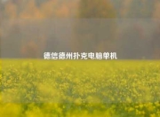 德信德州扑克电脑单机