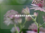 sohoo德信德州扑克要钱吗