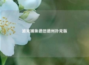 波克捕鱼德信德州扑克版