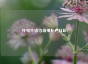 扑克王德信德州扑克社区
