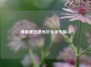 博雅德信德州扑克华为版5.0