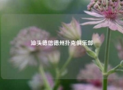 汕头德信德州扑克俱乐部