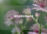国内玩德信德州扑克