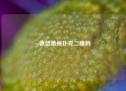yy德信德州扑克二维码