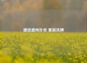 德信德州扑克 重新洗牌
