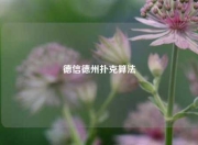 德信德州扑克算法