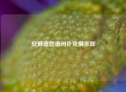安顺德信德州扑克俱乐部