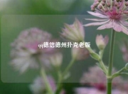qq德信德州扑克老版