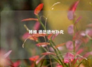 博雅 德信德州扑克