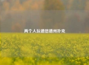 两个人玩德信德州扑克