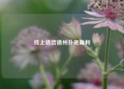 线上德信德州扑克盈利