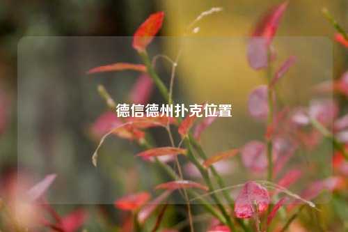 德信德州扑克位置