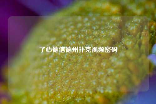 了心德信德州扑克视频密码
