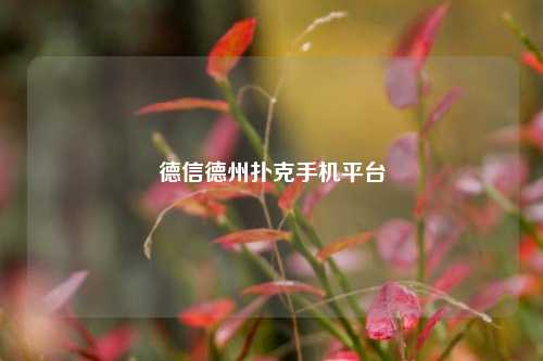 德信德州扑克手机平台