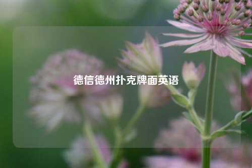 德信德州扑克牌面英语