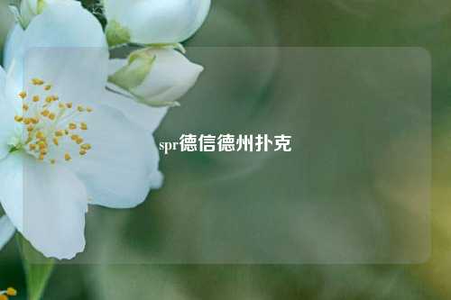 spr德信德州扑克