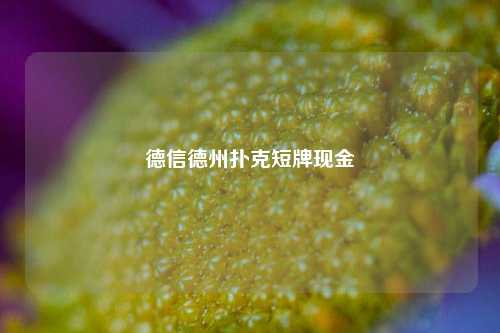 德信德州扑克短牌现金