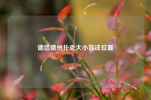 德信德州扑克大小盲注位置
