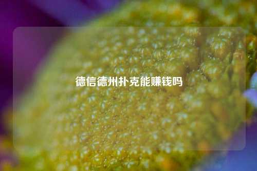 德信德州扑克能赚钱吗