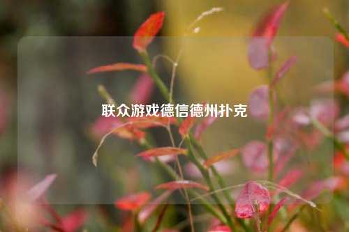 联众游戏德信德州扑克