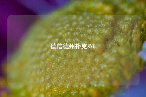 德信德州扑克SNG