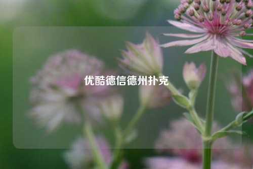 优酷德信德州扑克